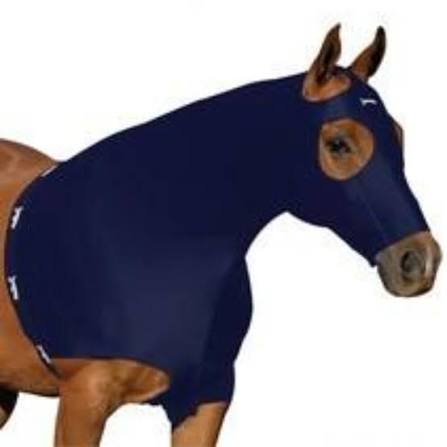 A brown horse wearing a navy blue full-body fly mask and side panels, shown against a plain white background.