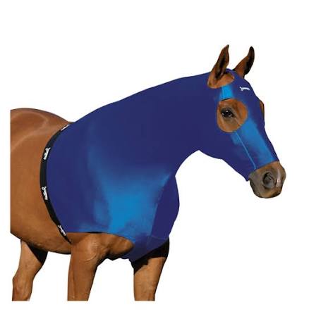 A brown horse wearing a bright blue fly blanket and matching blue face veil against a plain white background.