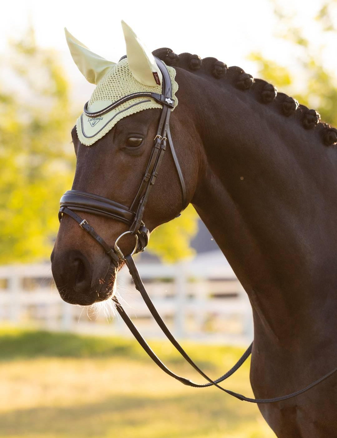 Angled front view of a dark colored horse wearing the macaron LeMieux Classic Fly Hood while standing outside