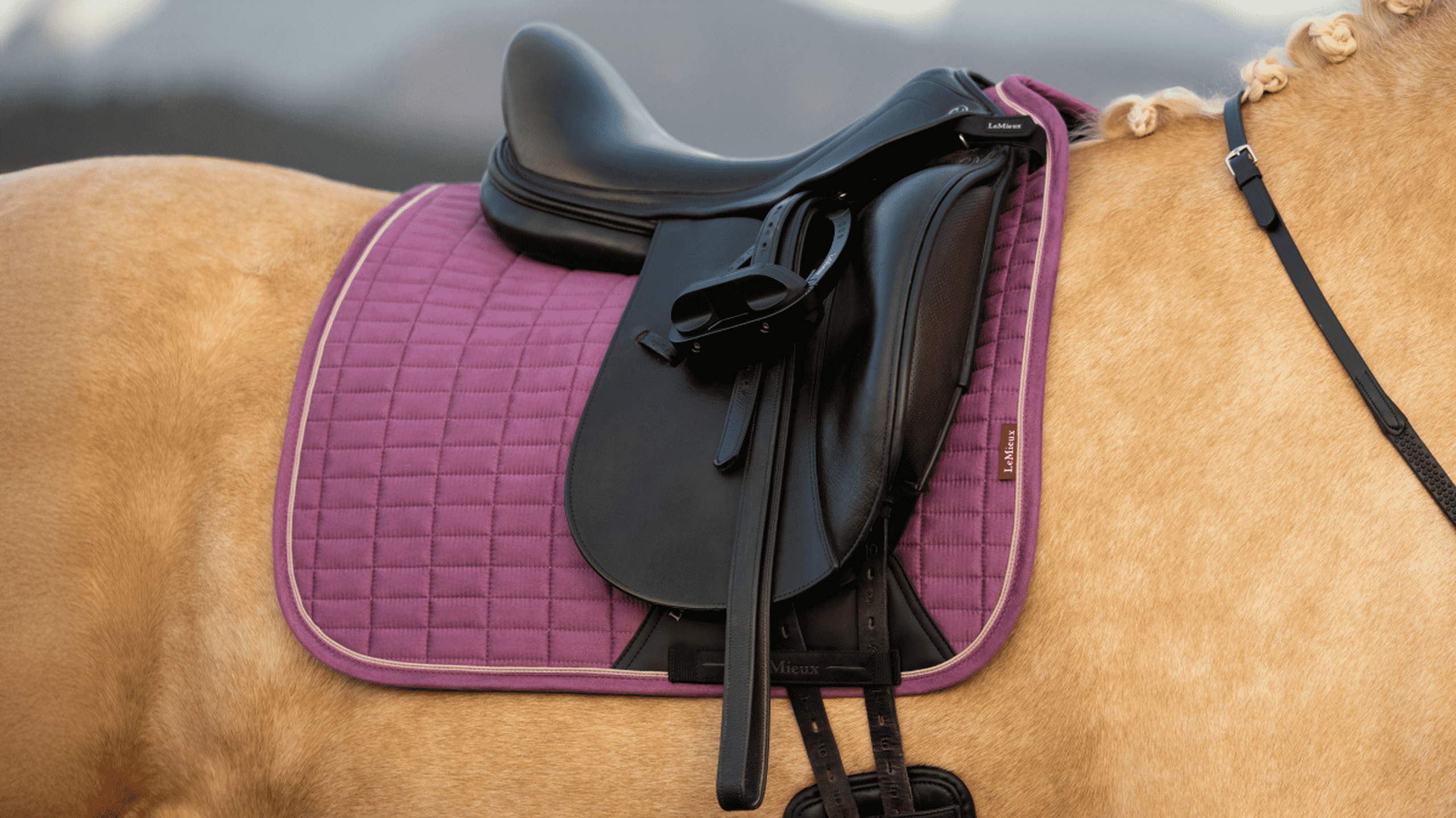 Close-up view of the mallow LeMieux Suede Dressage Square Pad on a palomino horse