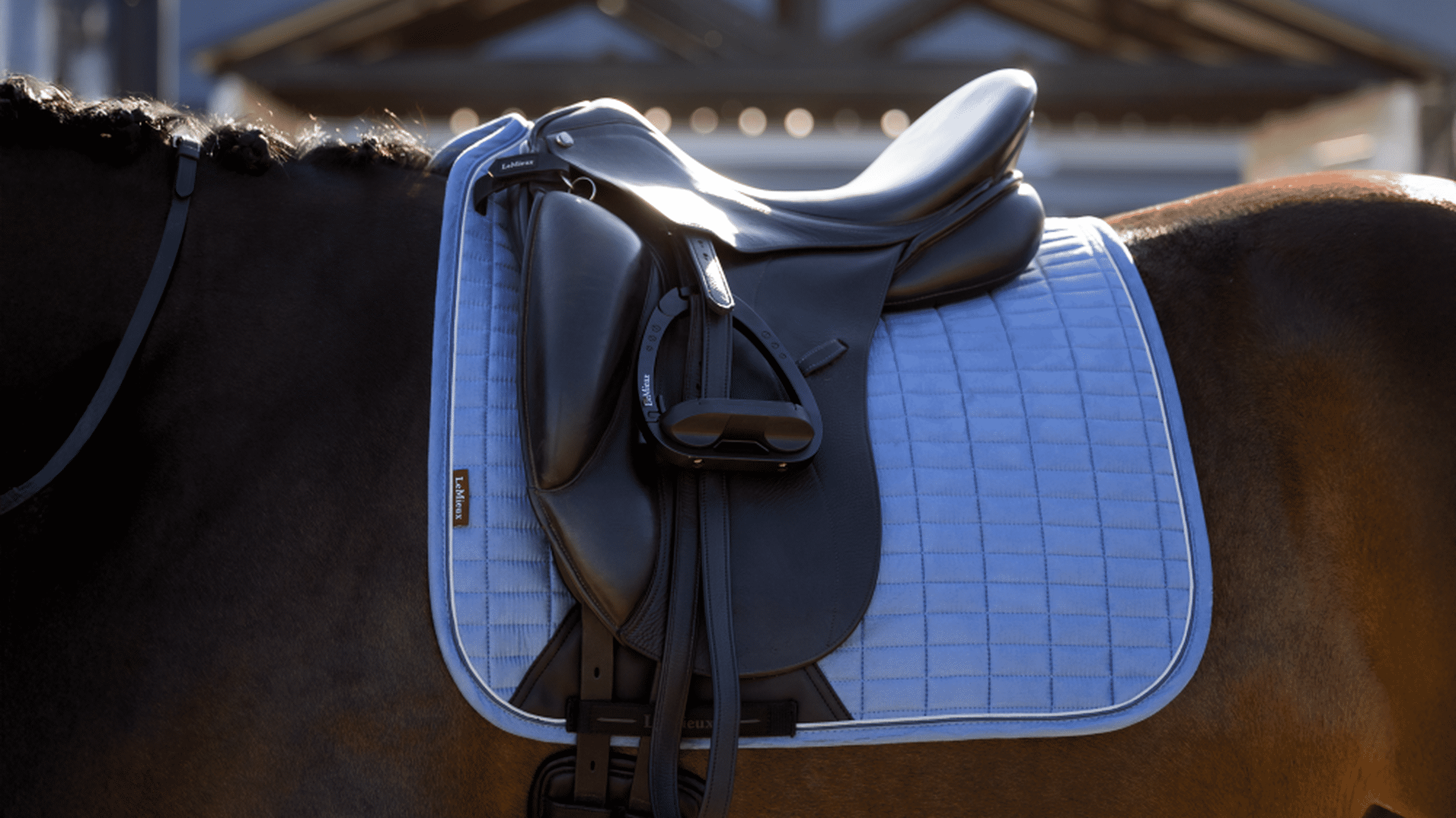 Close-up side view of a dark colored horse wearing the powder blue LeMieux Suede Dressage Square Pad