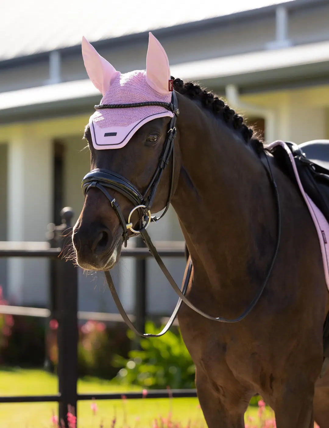 Horse standing outside wearing the LeMieux Essence Fly Veil in Fondant
