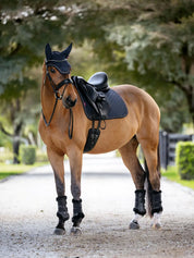 Angled front view of a horse wearing the navy LeMieux Brilliance Dressage Square under a black saddle