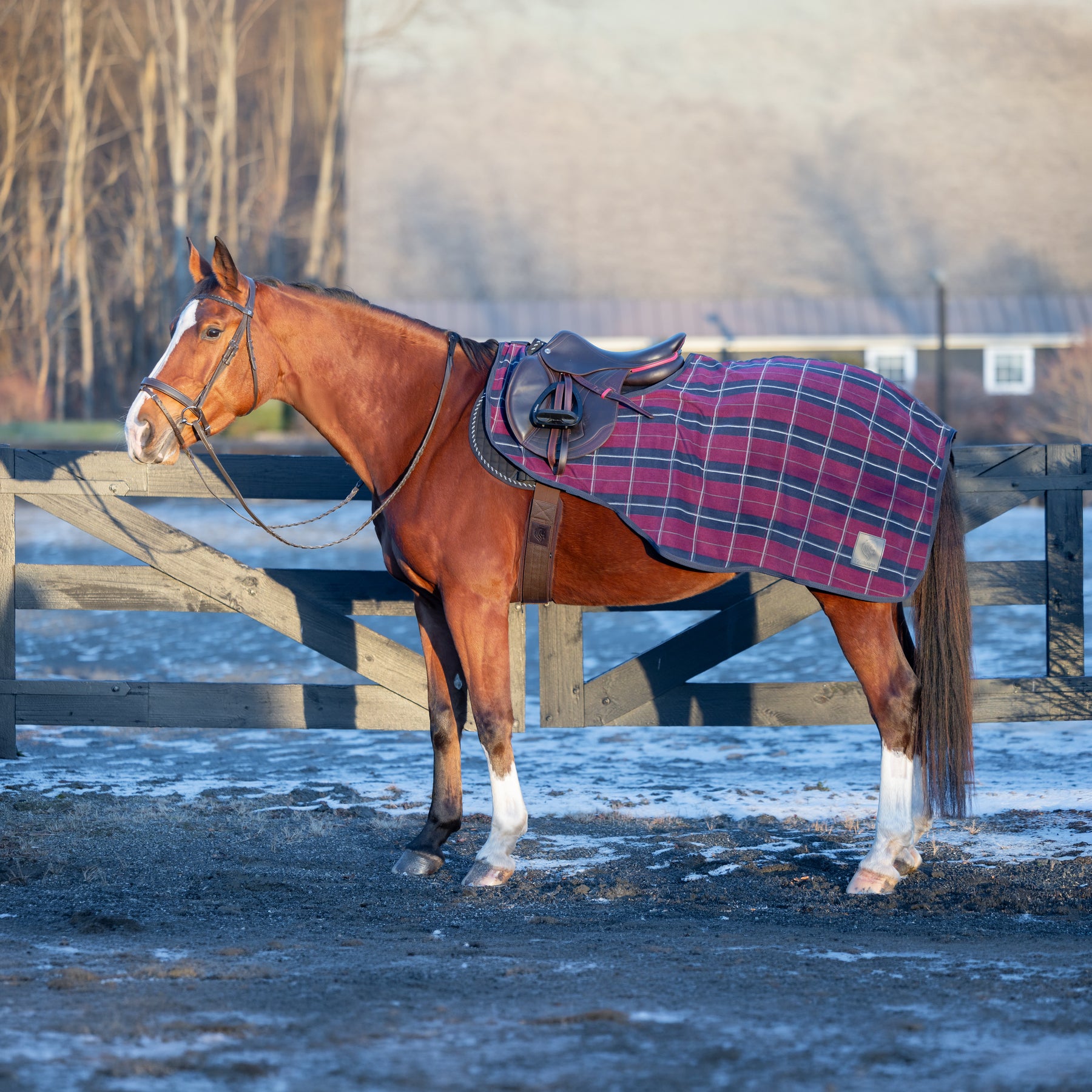 Navy Equinavia Norse Fleece Quarter Sheet while standing outside in a muddy paddock