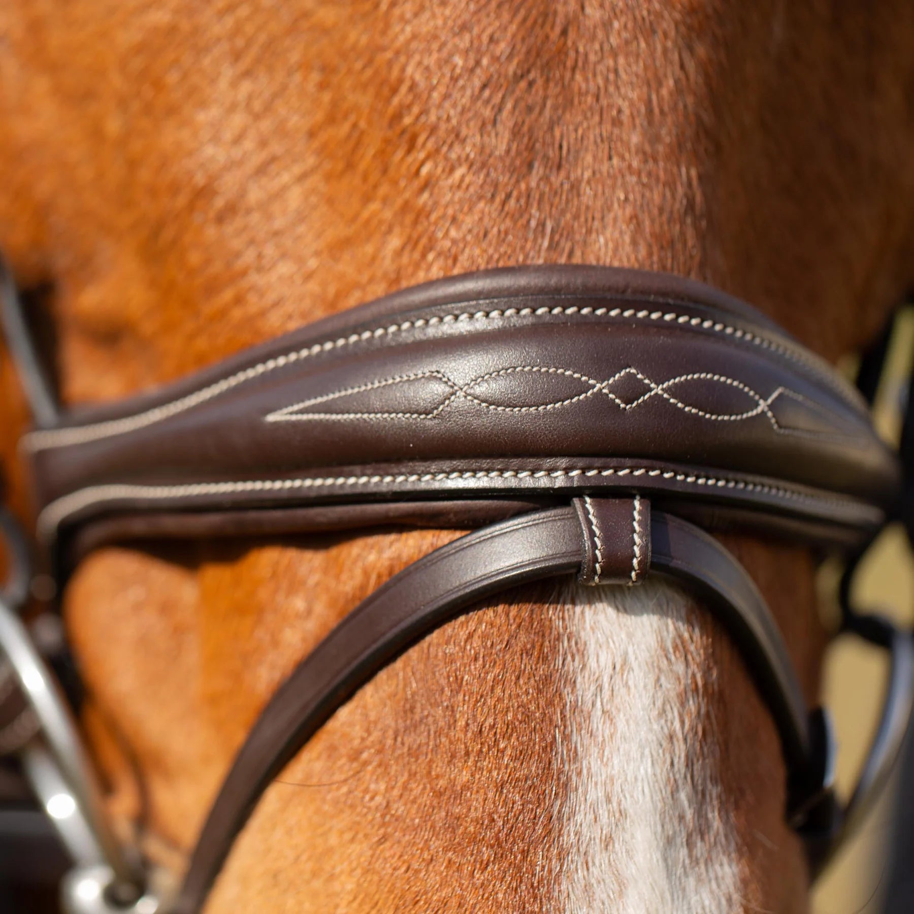 Closeup view of a horse wearing the Chocolate Brown Equinavia Valkyrie Anatomic Jumper Bridle with Rubber Reins