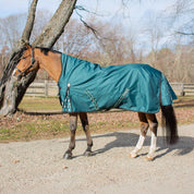 Side view of a horse wearing Deep Green Equinavia Arktis Extended Neck 0g Turnout on a gravel road