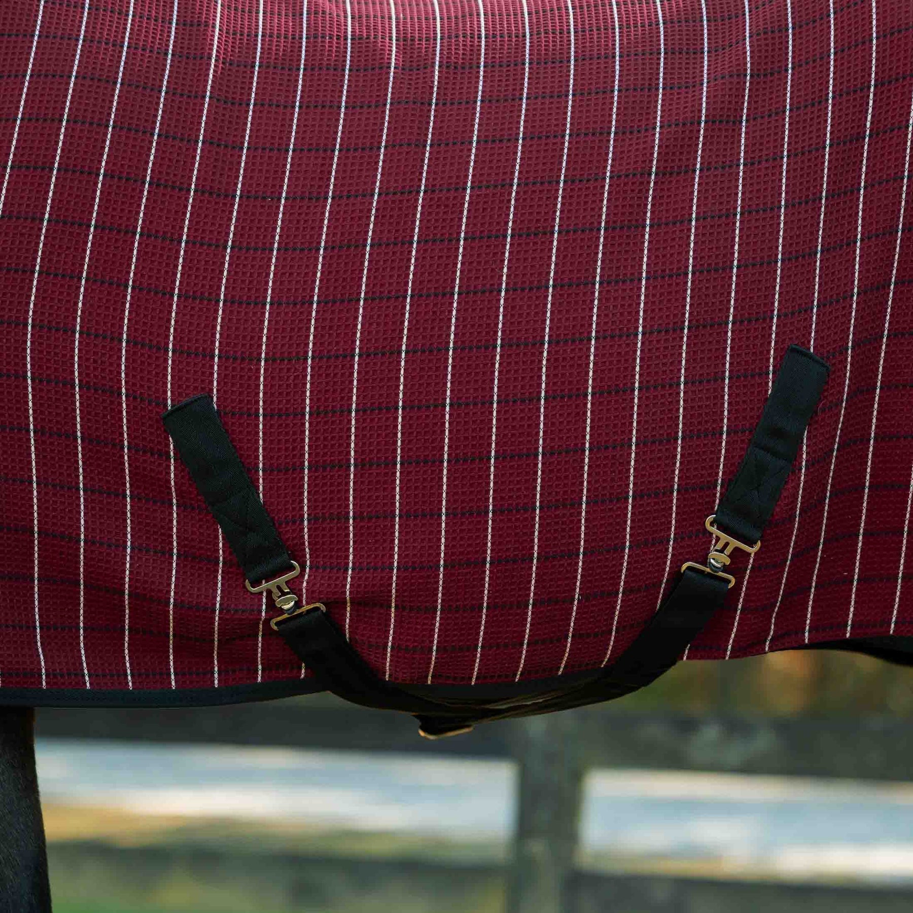 Close-up side view of a dark colored horse wearing the Burgundy/Black Equinavia Luftig Waffle Cooler outside