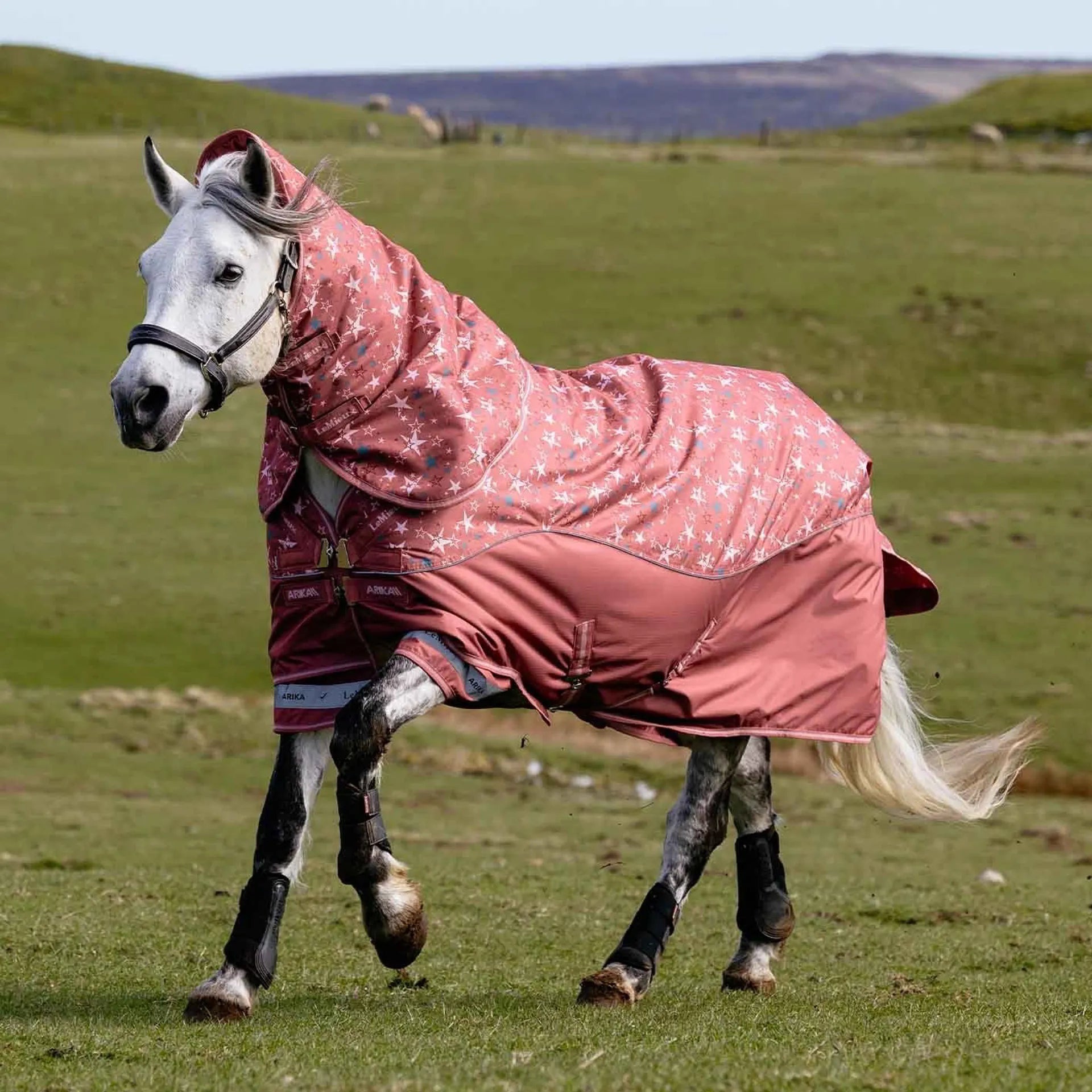 Angled front view of a gray horse wearing the Spiced Earth LeMieux Arika Star 0G Turnout Rug while running in a field