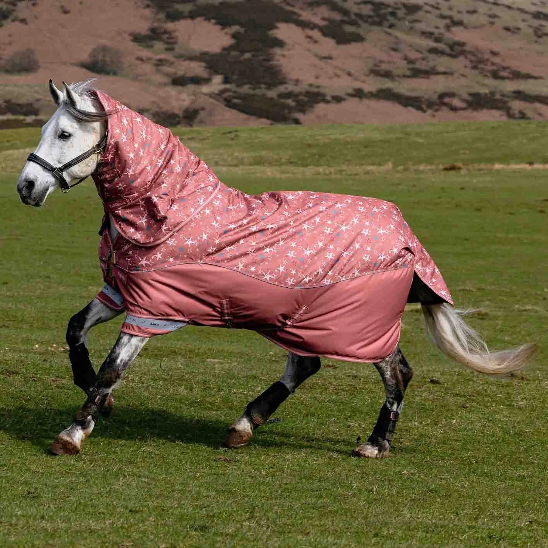 Side view of a gray horse wearing the Spiced Earth LeMieux Arika Star 0G Turnout Rug while running in a field