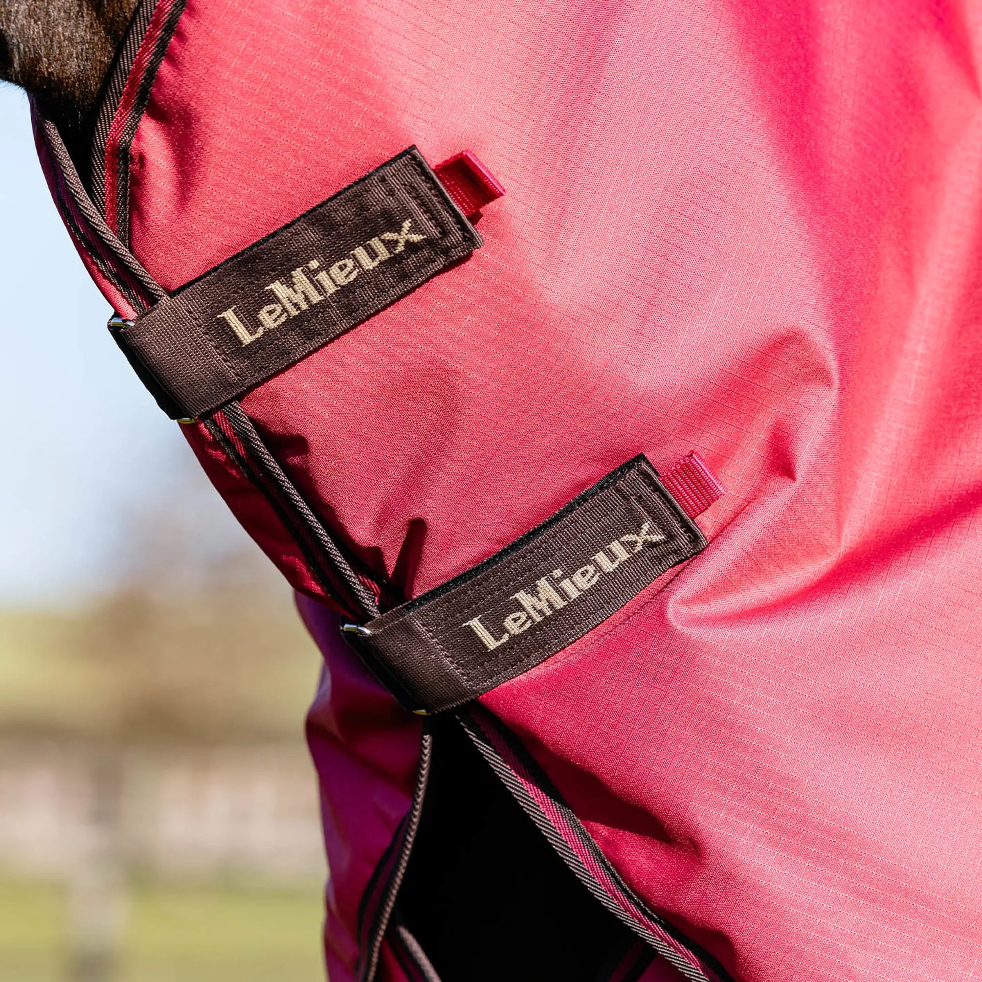 Close-up view of the straps on the detachable neck of the Cranberry LeMieux Arika Ripstop 200G Turnout Blanket