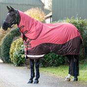 Side view of a horse wearing the Cranberry LeMieux Arika Ripstop 200G Turnout Blanket while standing on a path outside