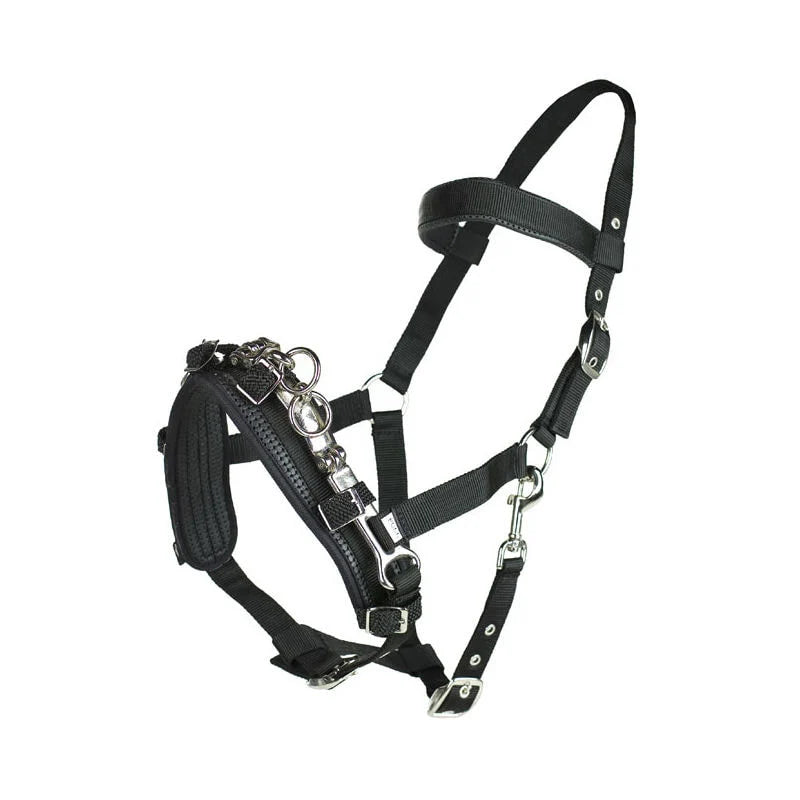 Full view of the Black Horze Nylon Lunging Cavesson on a plain background