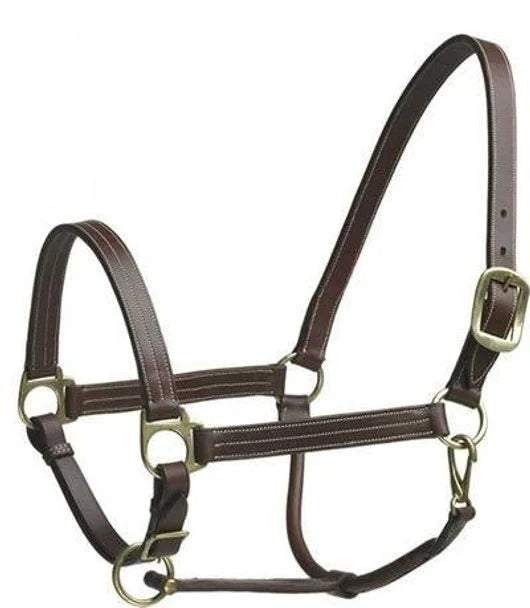 Side view of the brown Camelot Leather Stable Halter on a white background