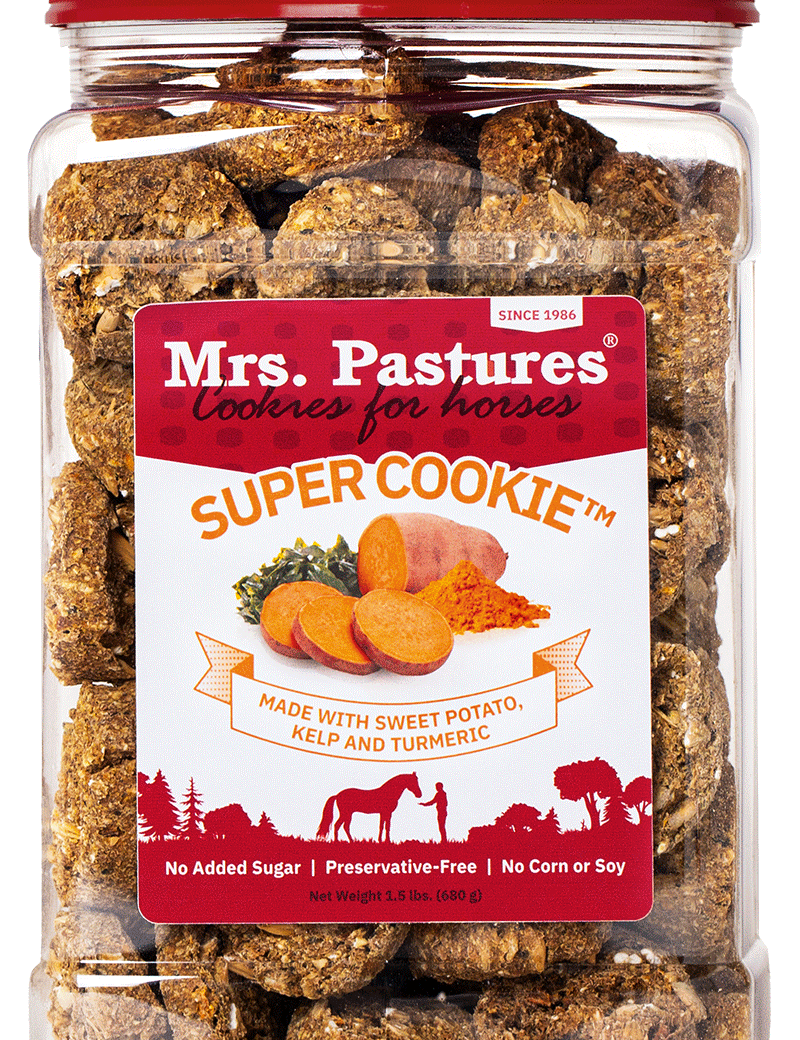 mrspastures-sweetpotato-horse-cookies-04-web-adjusted.png