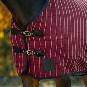 Close-up front view of the buckle front closures on the Burgundy/Black Equinavia Luftig Waffle Cooler