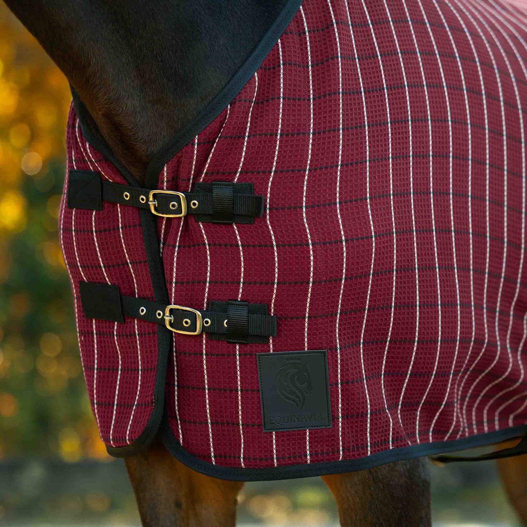 Close-up front view of the buckle front closures on the Burgundy/Black Equinavia Luftig Waffle Cooler