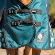 Front closeup view of a horse wearing Deep Green Equinavia Arktis Extended Neck 0g Turnout
