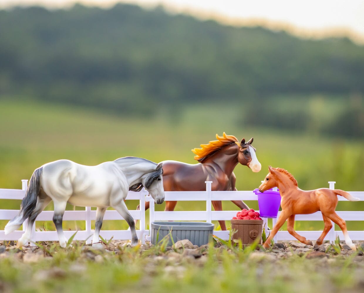 View of the Breyer Playful Pony Family staged outside with accessories