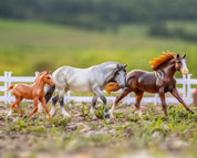 View of the Breyer Playful Pony Family staged in an outdoor scene