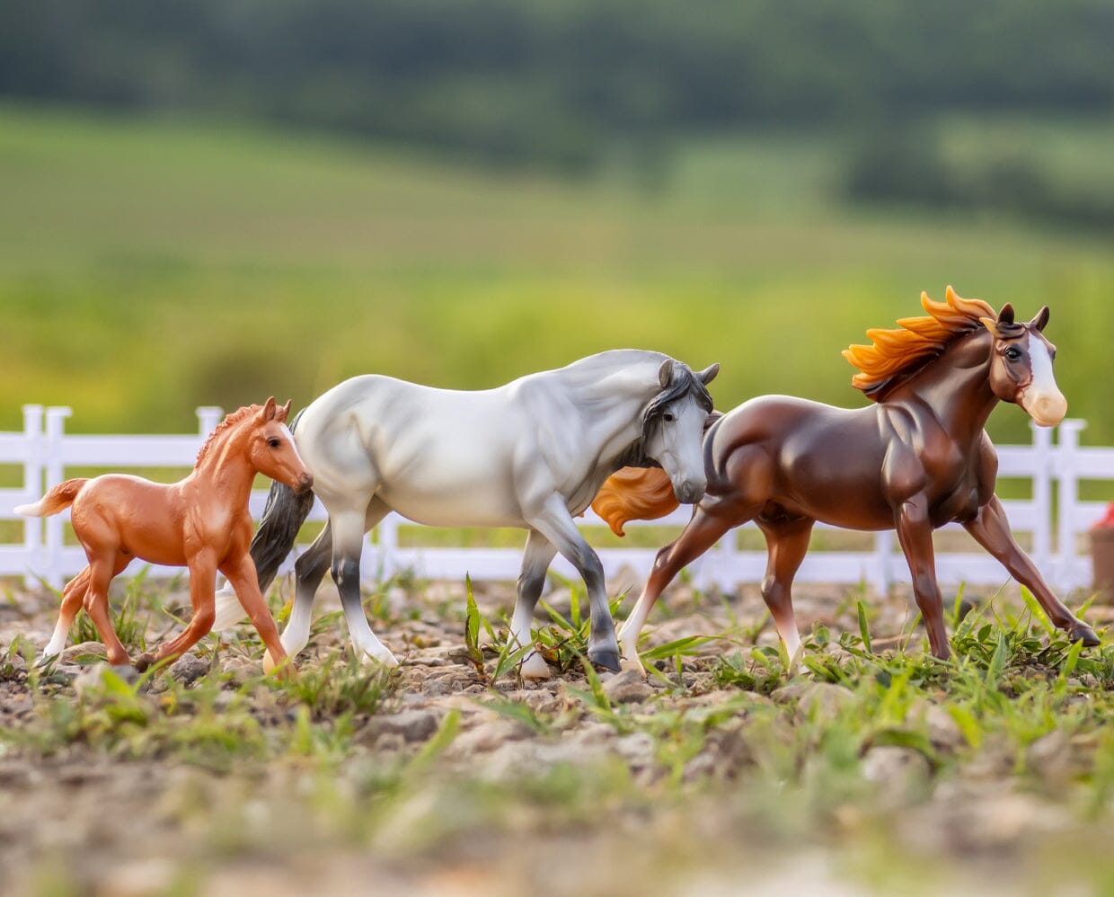 View of the Breyer Playful Pony Family staged in an outdoor scene