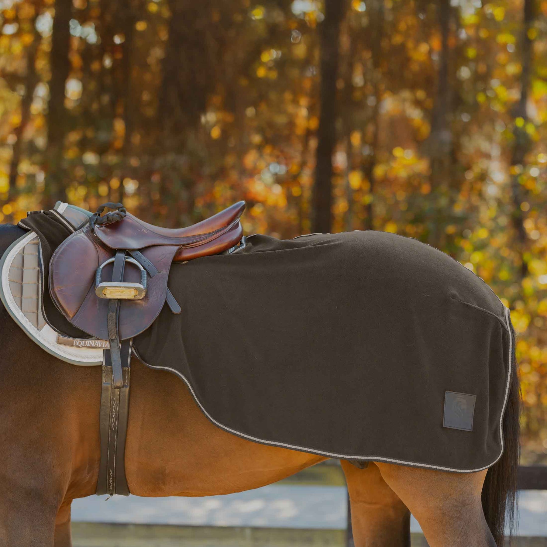Side view of a horse wearing the Dark Brown Equinavia Norse Fleece Quarter Sheet under a brown saddle while standing outside