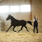 Side view of a black horse wearing the Horze Nylon Lunging Cavesson while a female model is lunging the horse in an indoor arena