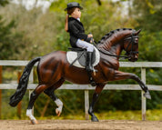 Side view of a Breyer Salvino Horse being ridden in a staged arena scene