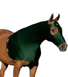 A dark forest green horse fly blanket and matching eye veil shown on a brown horse against a plain white background.