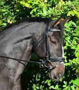 Black Oak Larkspur Dressage Bridle