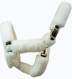Brown leather horse halter with white sheepskin covering shown on a plain white background