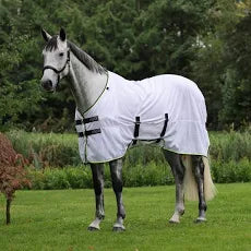 Horse wearing a white fly sheet with green trim standing on grass with trees in the background