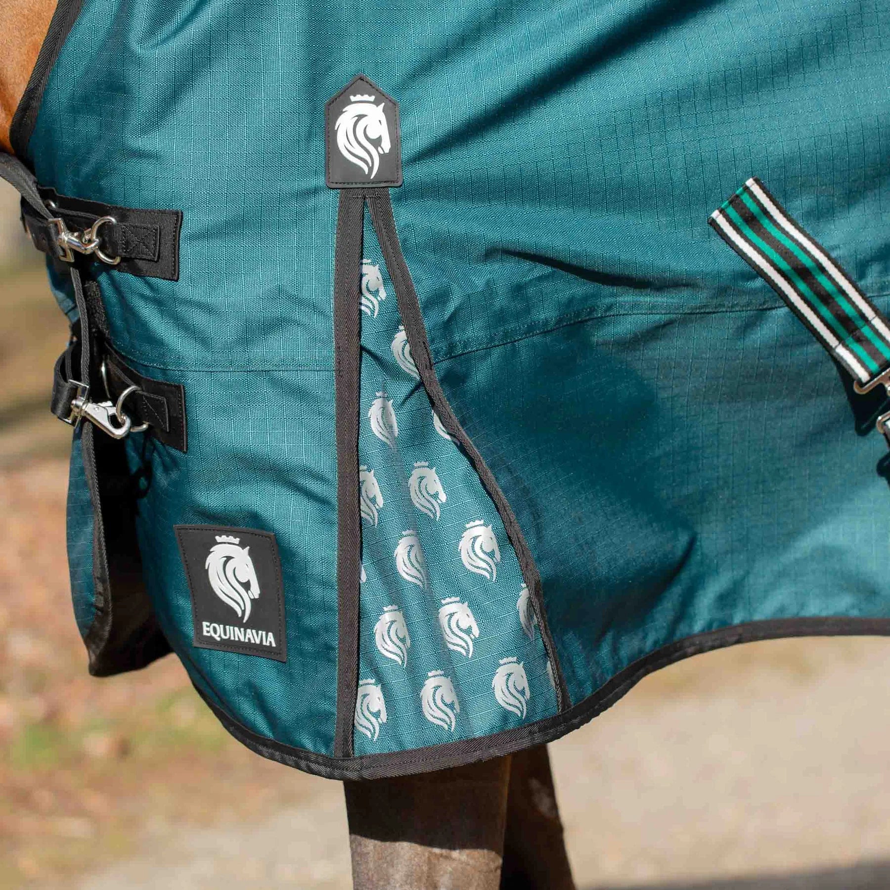 Side closeup view of a horse wearing Deep Green Equinavia Arktis Extended Neck 0g Turnout