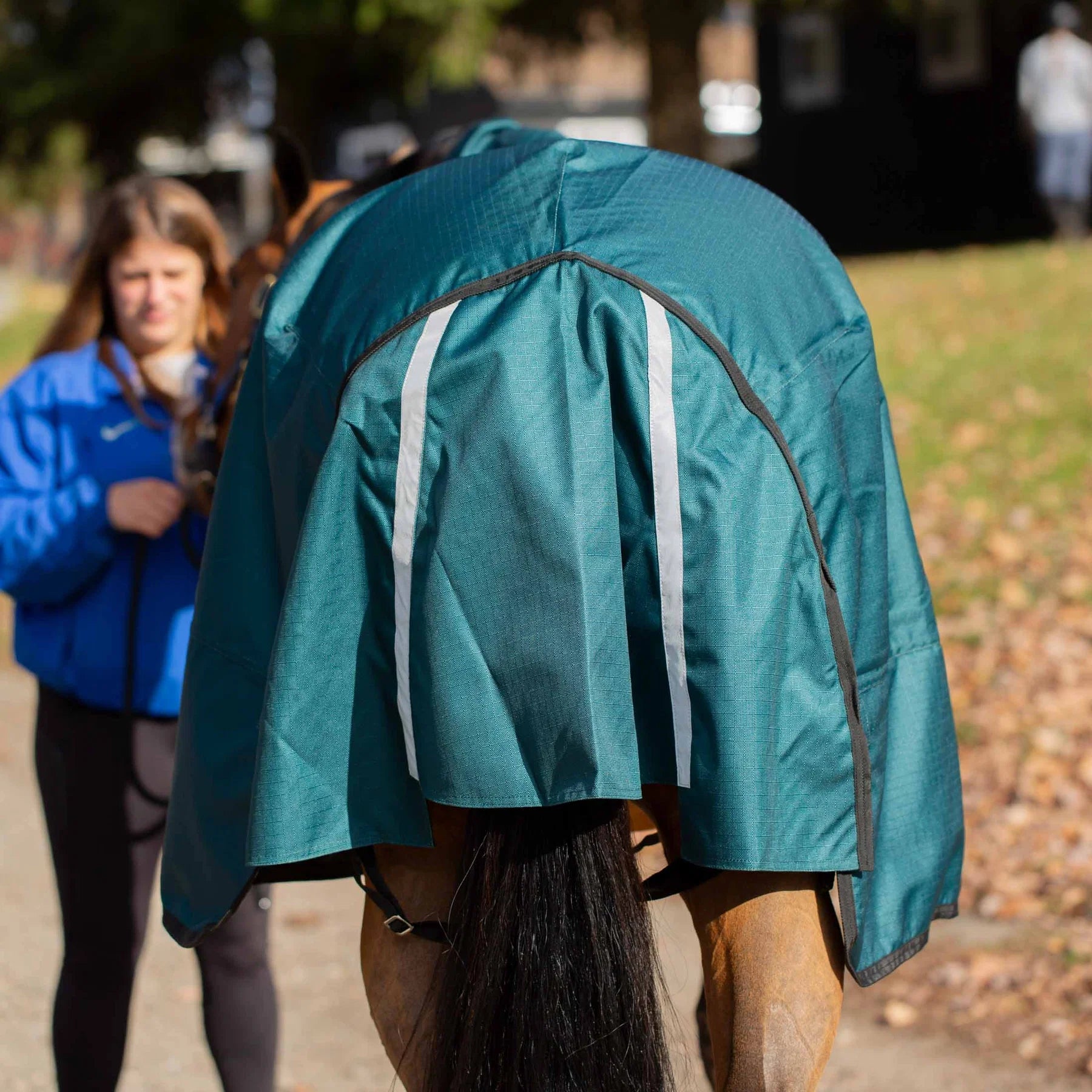 Back view of a horse wearing Deep Green Equinavia Arktis Extended Neck 0g Turnout