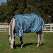 Side view of a gray horse grazing in a pasture wearing the Equinavia Thunder 360 0g Detachable Neck Turnout Sheet in blue