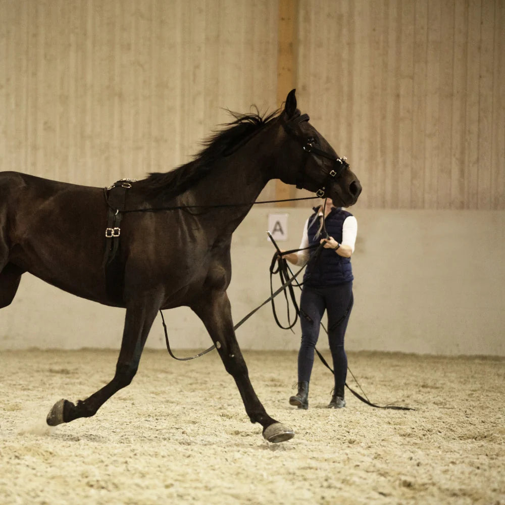 Side view of a black horse wearing the Horze Nylon Lunging Cavesson while a female model is lunging the horse in an indoor arena