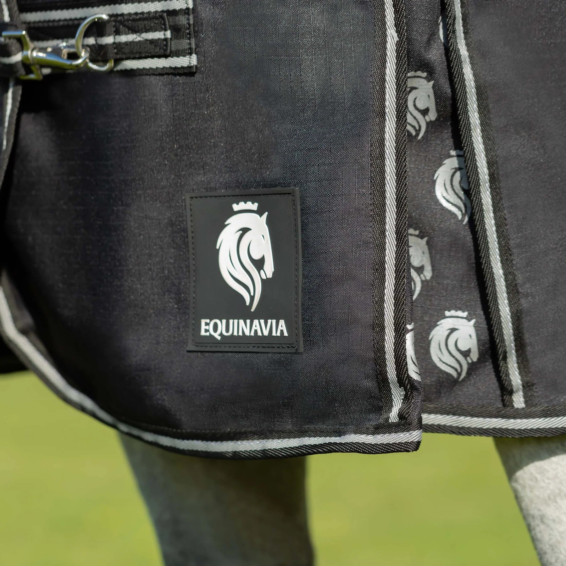 Angled front closeup view of a horse wearing the Black Equinavia Norse Turnout Blanket outdoors in a pasture