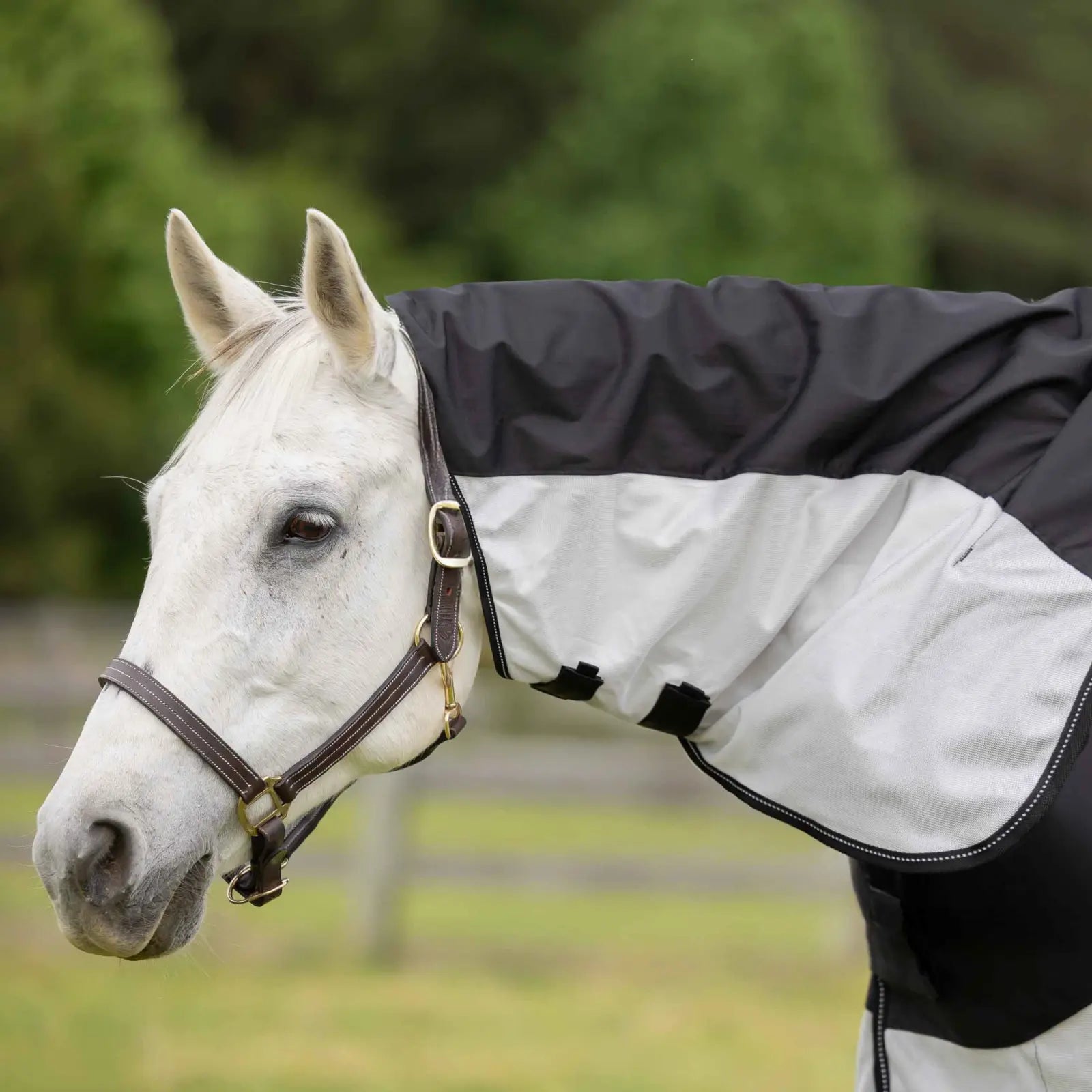 silver gray Equinavia Norse Detachable Neck Combi Summer Sheet while standing outside