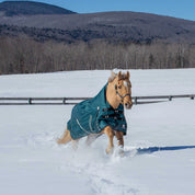 Angled side view of a horse wearing Deep Green Equinavia Arktis Extended Neck 0g Turnout on snowy ground