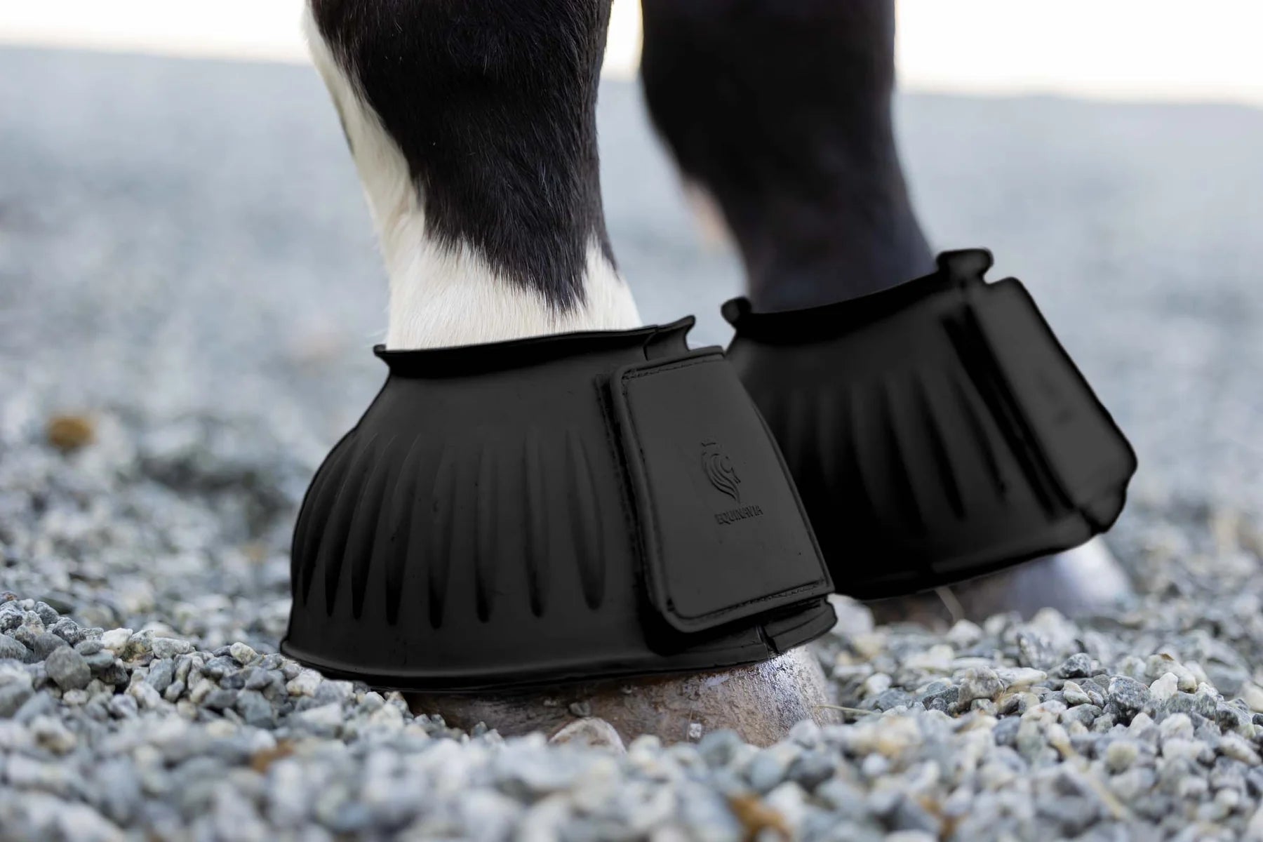 Angled front closeup view of a horse wearing the Black Equinavia Double Lock Rubber Bell Boots on small gravel