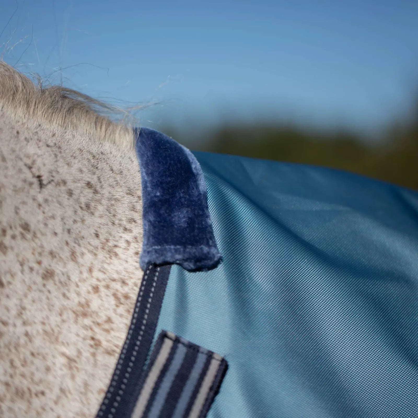 Close-up view of the fleece on the withers of the Equinavia Thunder 360 0g Detachable Neck Turnout Sheet in blue