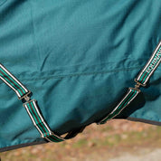 Side closeup view of a horse wearing Deep Green Equinavia Arktis Extended Neck 0g Turnout