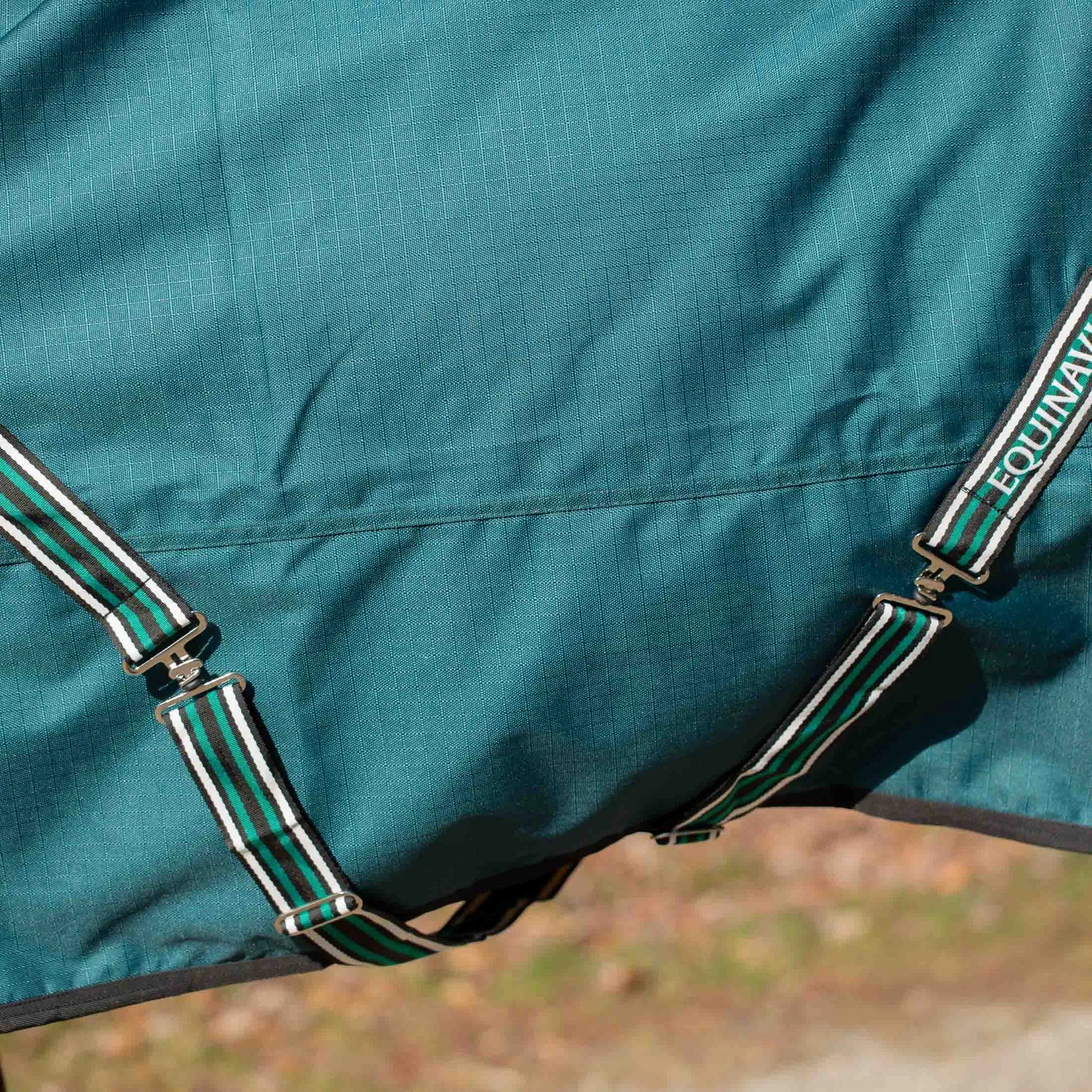Side closeup view of a horse wearing Deep Green Equinavia Arktis Extended Neck 0g Turnout